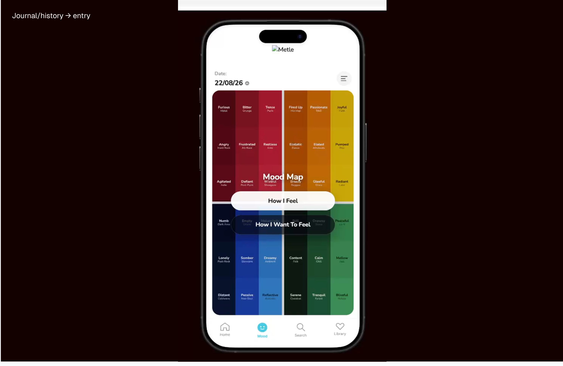 A saved journal / history entry shown on the Mood Map screen